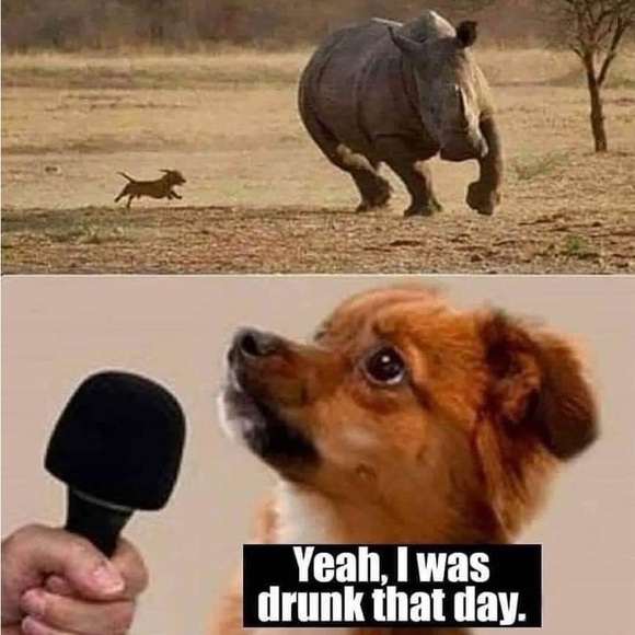 Meet your Posher, Carolyn - Picture 7 of 15